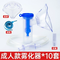 10 наборов на пять частей моделей для взрослых (стерилизация)