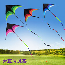 Grassland Kite Breeze Easy Fly Beginner Weifang Large Large Extra Large Professional High-end Triangle Tail New Kite