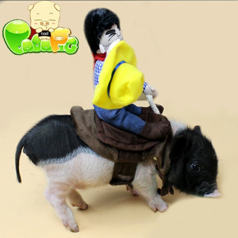 Biga lợn cửa hàng siêu thú cưng thú cưng nhỏ lợn cưỡi quần áo lợn lợn trang phục lợn nhỏ Xiang lợn biến quần áo - Quần áo & phụ kiện thú cưng quần áo chó poodle
