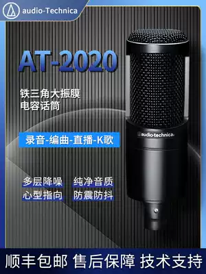 Audio Technica Audio-Technica AT2020 Capacitive Microphone Microphone Live K Song Radio Professional Recording Package