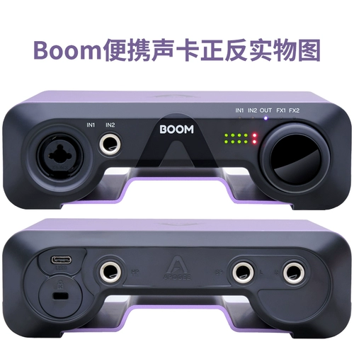 Apogee Boom Professional Recording Mixcing Broadcast Live Trobvate K Song DSP из Internal Record 2 из USB -внешней звуковой карты