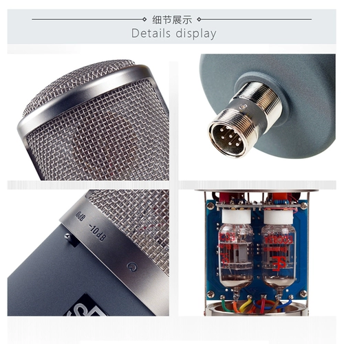 SE Электроника Gemini II Двухэлектронный микрофон микрофон чистый ручной работы студии емкости микрофон