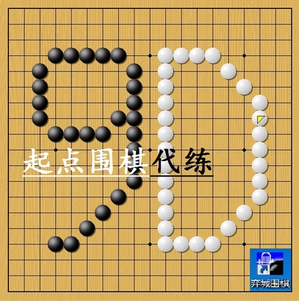 Yicheng Wild Fox Go No. 9D 5-9 Duan Account (Customized Bao Duan) Member Professional chess players practice Yi coins on behalf of professional chess players