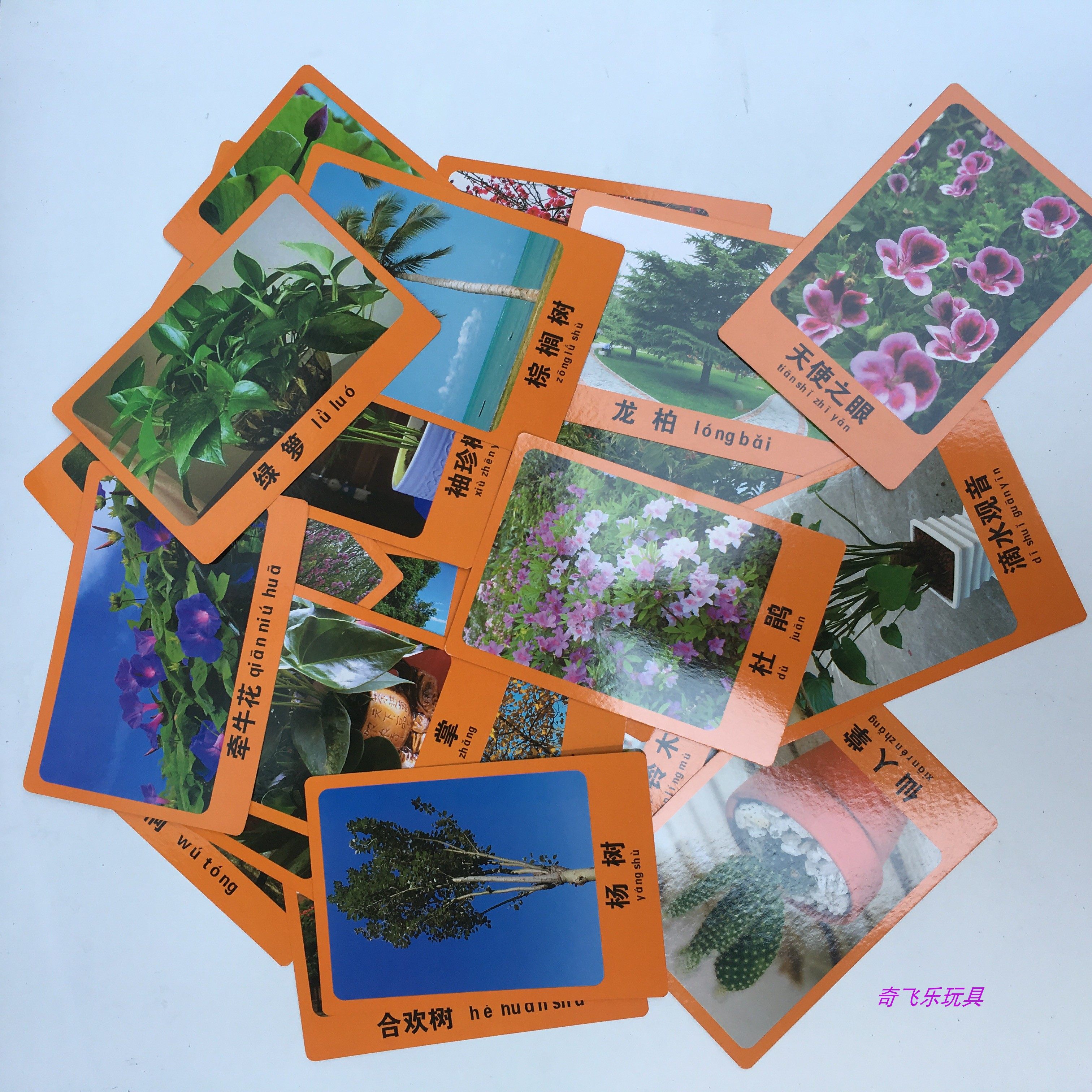 Promotion Kindergarten Early Teach Plant Flowers Cards Teaching Supplies Blackboard Cognition Cards With Picture Literacy Cards