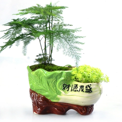 Керамический большой креативный цветочный горшок для домашнего использования для гостиной