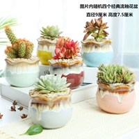 Случайная четыре классическая плавная глазурь