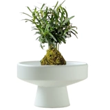 Шарик из мха, цветочный горшок, керамический поднос для горшка, китайские настольные украшения, гидропонный рисовый бамбуковый шар из мха, гидропонная посуда, поднос для горшка