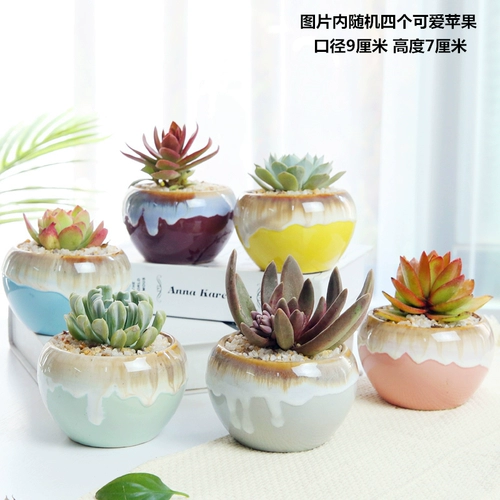 Полихид бассейн специальная керамическая свайная керамика Большое мясистое мясо из мясо