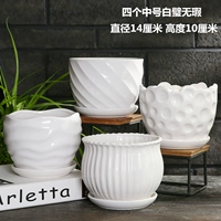 Четыре среднего размера Bai Yan Flawless