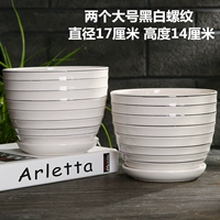 Две большие черно -белые нити