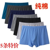 Old mans underwear male grandfather old-fashioned old mans shorts wear boxer shorts pure cotton three-point cotton loose thick winter