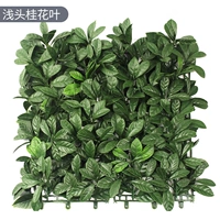 Qiantou Osmanthus уходит [50*50 см] фильм