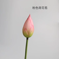 Розовый лотос бутон