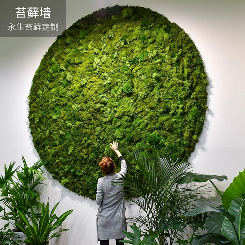 Индивидуальная вечная моховая стенка