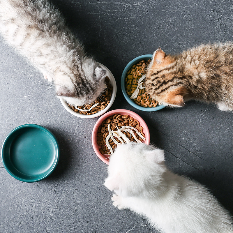 Small Cat Bowl Ceramic Bowl to protect Cervical Cat Eating Bowl Infant Cat Special Dish Anti-Overturn Dog Snacks Bowl Single