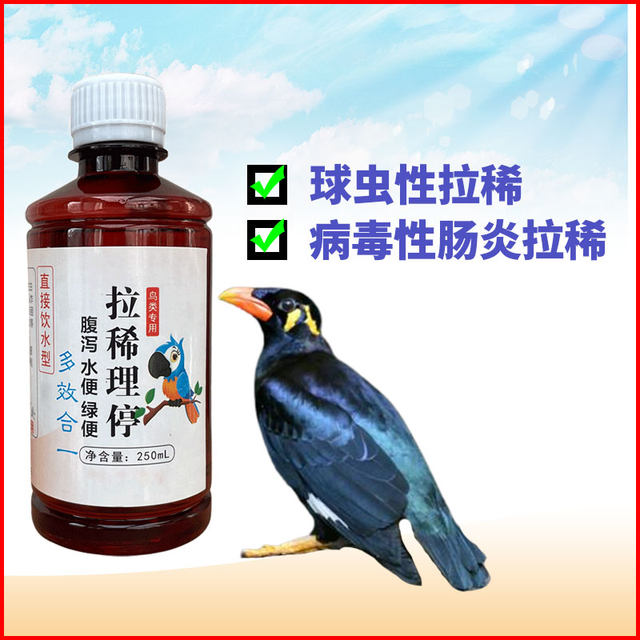 Bird-specific diarrhea, anti-inflammatory parrot, pigeon, myna, watery stool, thrush green feces, diarrhea, parrot diarrhea