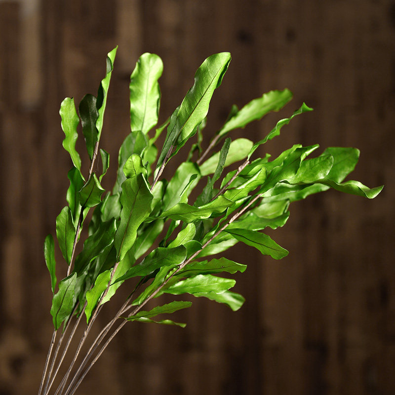 Nut leaf evergreen flower leaf flower flower arrangement long branches dry flower bouquet living-room branch dry branch flower decoration dry branches flower insertion flower-Taobao