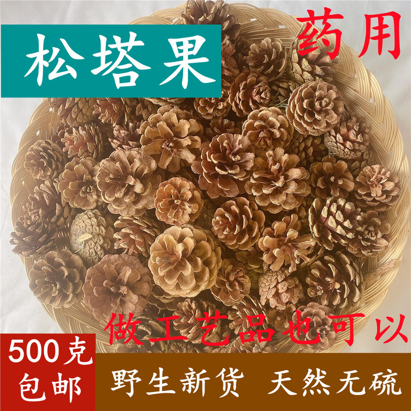 Wild Chinese Herbal Medicine Pine Cone Pine Cone Natural Pine Cone Kindergarten Pine Cone Painting Creative Handmade DIY Decoration Material Package