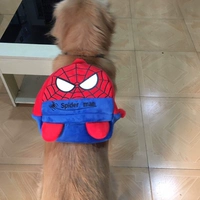 Обновленная версия паука -man