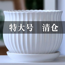 Ceramic flower pots with tray special price extra-large number creative multi-meat indoor home chandelier green raspberry clear cabin