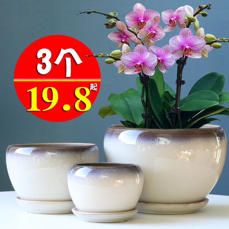 Flower pot ceramic large special everyone with tray simple green plant gold Ge Chlorophytum small succulent flower pot special clearance