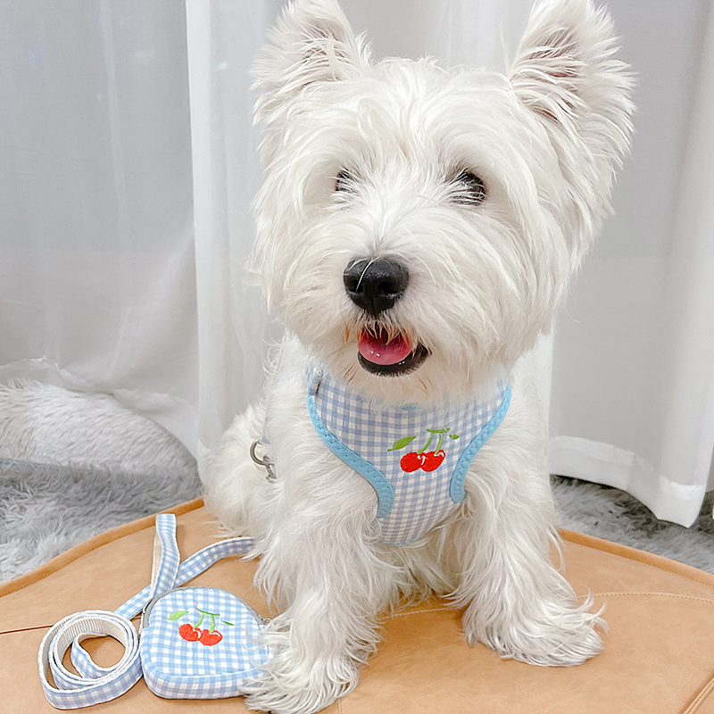 Kitty Traction Rope Dog Rope Dog Rope Small Dog Walking Dog Vest Type of Cat Puppies Pet Supplies Dog Chest Back