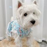 Платье, юбка, тонкий летний наряд маленькой принцессы