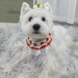 Нагрудник, кружевной шарф, милый аксессуар, слюнявчик