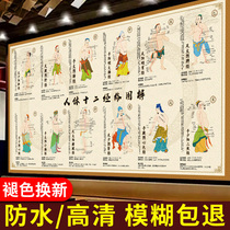 Human body twelve meridians and acupoints map 12 direction map large wall chart traditional Chinese medicine health physiotherapy odd meridians eight meridians map