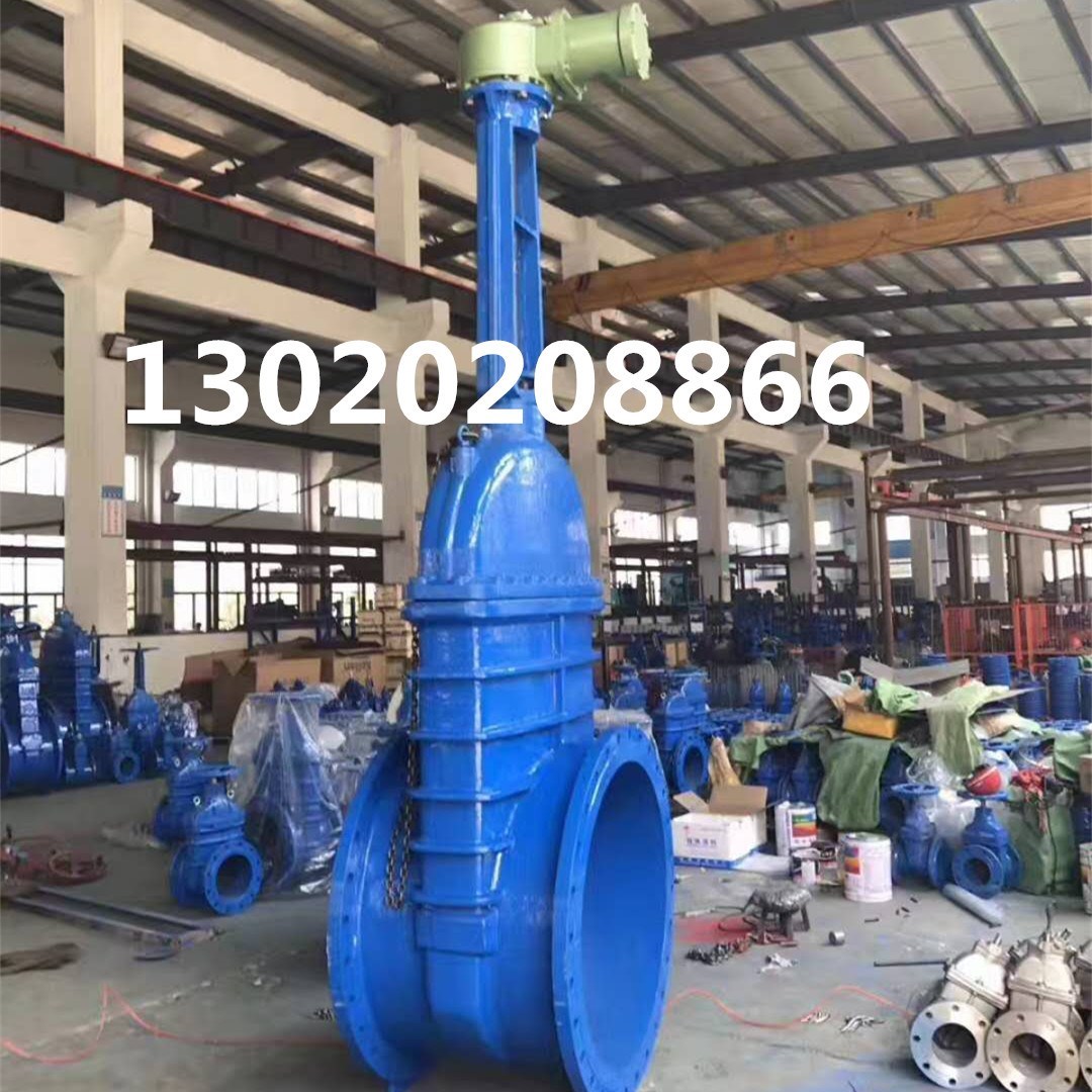 Z945X-16Q Electric Valve Ductile Iron Electric Soft Seal Gate Valve RVEX Electric Gate Valve DN80 125