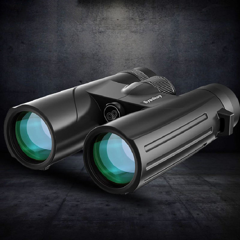8x42 Binoculars 10X42 Micro-Light Night Vision Metal Outdoor High HD View Watch Tour