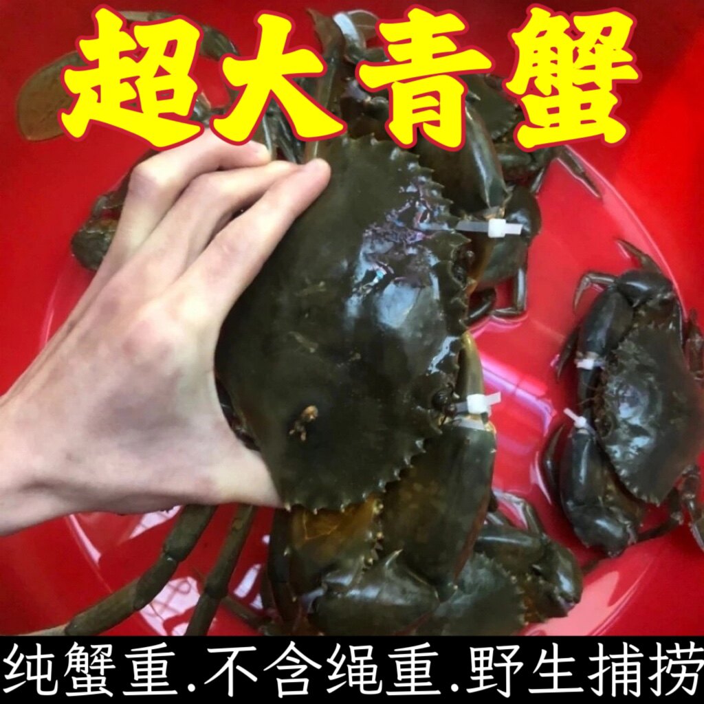 海之鲜蟹行