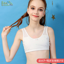 girl's breast tape developmental stage junior high school vest junior high school underwear primary school adolescent girl's bra pure cotton thin