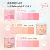 Прозрачные матовые румяна, четыре цвета