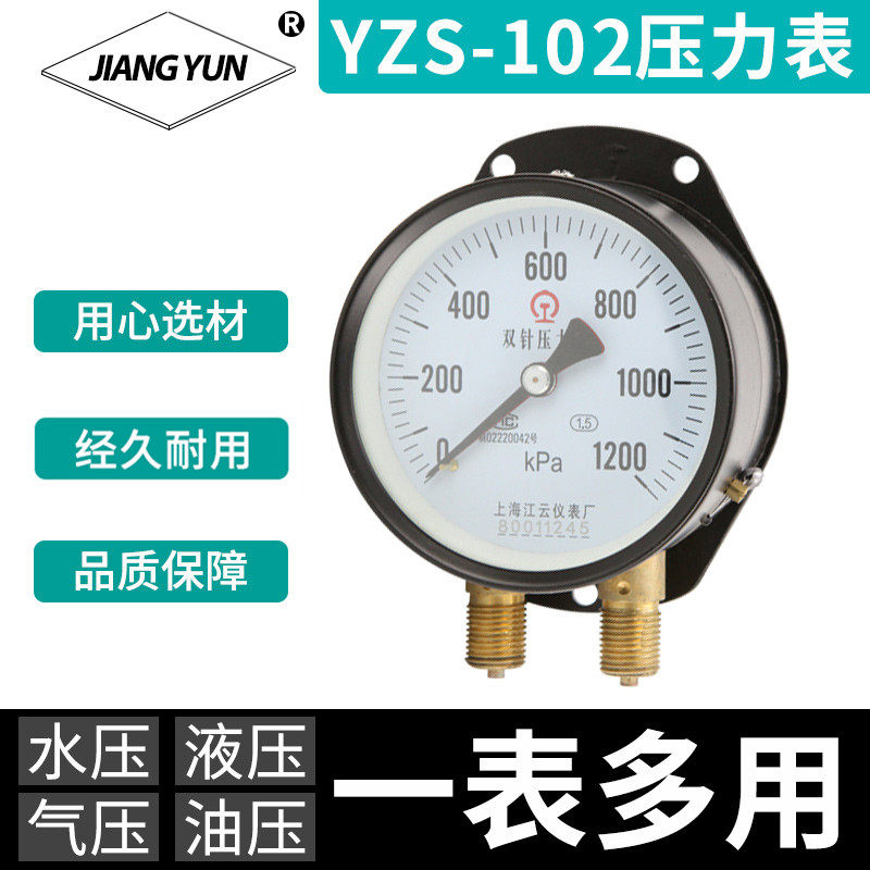 Shanghai Jianyun YZS-102 double pin pressure gauge 0-1200KPa railway locomotive special pressure gauge