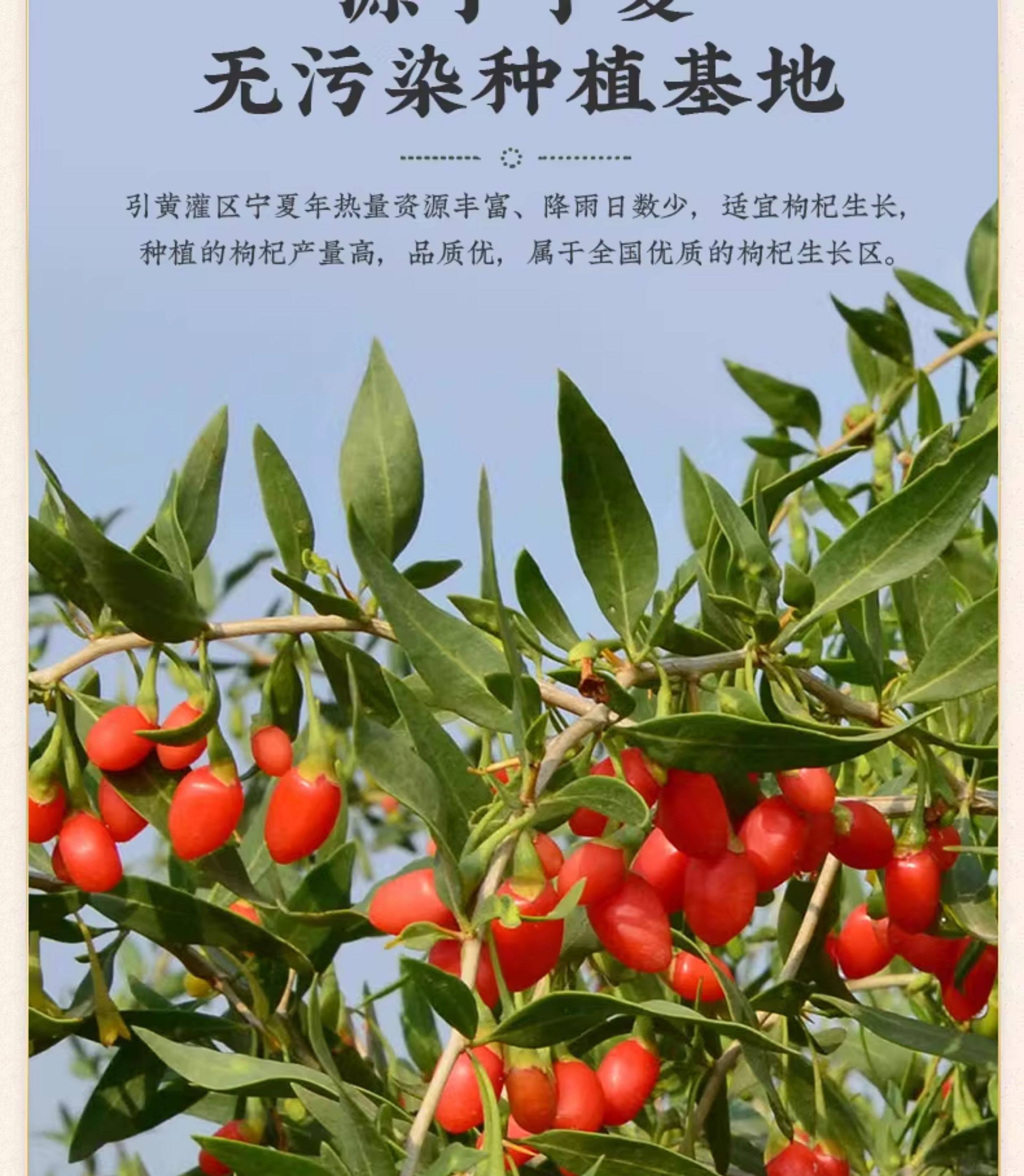 Ningxia Premium First Harvest Goji Berries Dried Wolfberry for Tea and Soup 500g key features