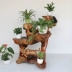 Root khắc khung phòng khách gỗ rắn nghệ thuật tự nhiên gốc cây trong nhà bonsai nhiều lớp long não gỗ trang trí sàn kệ - Các món ăn khao khát gốc Các món ăn khao khát gốc