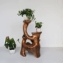 Root khắc khung phòng khách gỗ rắn nghệ thuật tự nhiên gốc cây trong nhà bonsai nhiều lớp long não gỗ trang trí sàn kệ - Các món ăn khao khát gốc