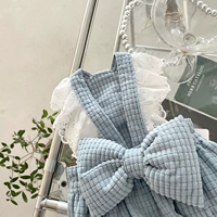 ПЭТ новая юбка принцессы, Teddipi Cat Yingxia VIP маленькие щенки и собака Осень осень