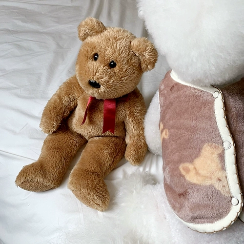 Собачья одежда Тедди Бишон Медведь Померанский Шнаузер маленький щенок Pet Pet Cat 2023 Осенний и Зимний Новый Бархатный жилет