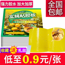 Yellow plate double-sided sticky insect board lava fruit fly needle stick adhesive fruit fly trap lure trap