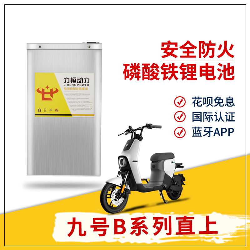 No. 9 electric vehicle B30C battery large capacity 48V lithium iron phosphate lithium B35B40B65B80B90B110P