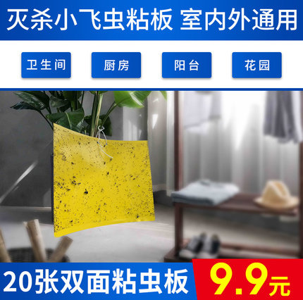 Extinguishing Trap Indoor Kitchen Divine Appliance Double Sided Yellowboard Trap Paper Sticky Board Fruit Fly Pesticide