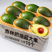 2024 Avocado Fresh Fruit 15 Seasonal Baby Food Complementary Ripe Ready-to-Eat Avocado Whole Box for Pregnant Women