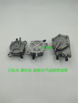 Scooter 125 Big Turtle King Oil Pump Tricycle 150 175 200 250 300 Gasoline Pump Fuel Pump External