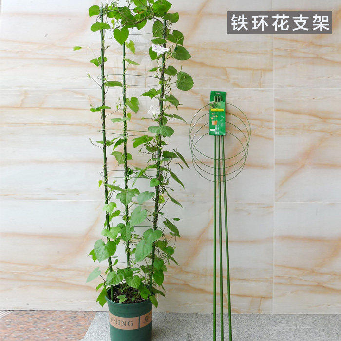Climbing pergola flower stand gardening bracket plant climbing frame gardening supplies iron pillar indoor rose vine flower stand