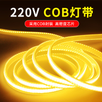 Super bright cob lamp belt 220V waterproof living room hanging dim trough decoration atmosphere outdoor high-pressure LED soft light strips