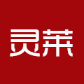 灵莱眼镜企业店的LOGO