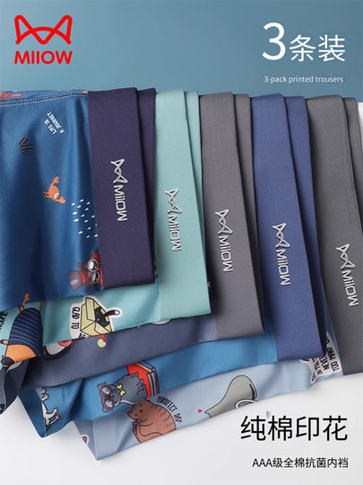 Catman men's underwear 2025 new summer pure cotton antibacterial breathable loose boxer briefs for men and teenagers