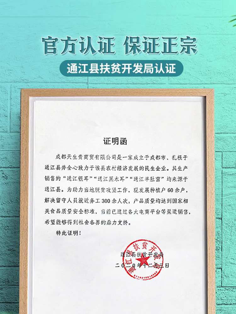 Natural Premium Black Fungus from Autumn Harvest, Dried Specialty from Tongjiang, Sichuan, Rootless and Sulfur-Free